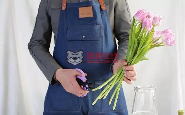 郁金香养护方法