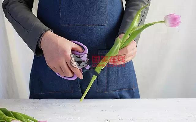 郁金香保存方法